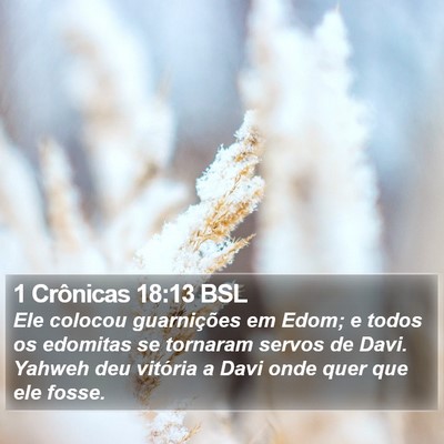 1 Crônicas 18:13 BSL Bible Verse Image