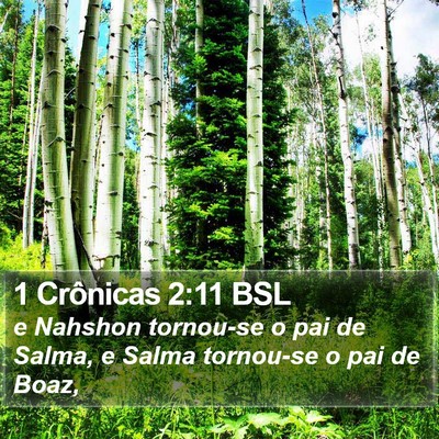1 Crônicas 2:11 BSL Bible Verse Image