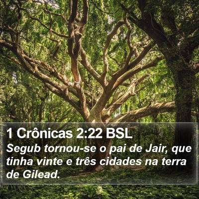 1 Crônicas 2:22 BSL Bible Verse Image
