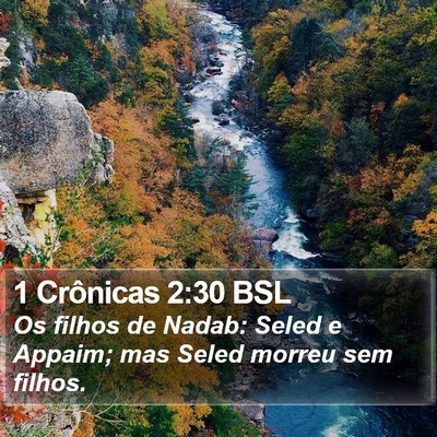 1 Crônicas 2:30 BSL Bible Verse Image