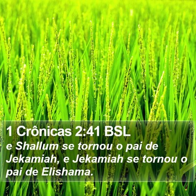 1 Crônicas 2:41 BSL Bible Verse Image