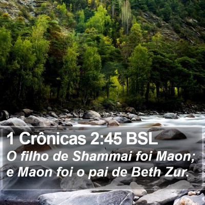 1 Crônicas 2:45 BSL Bible Verse Image
