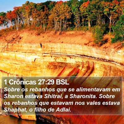 1 Crônicas 27:29 BSL Bible Verse Image