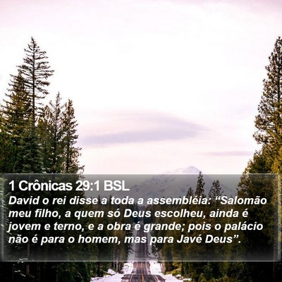 1 Crônicas 29:1 BSL Bible Verse Image