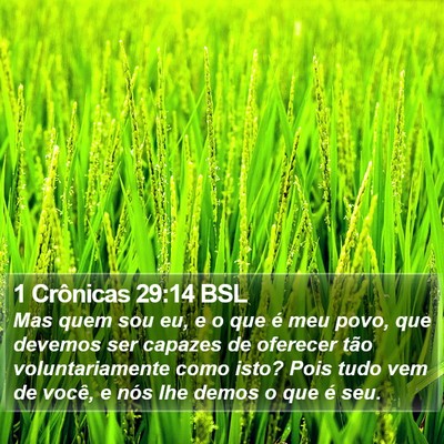 1 Crônicas 29:14 BSL Bible Verse Image