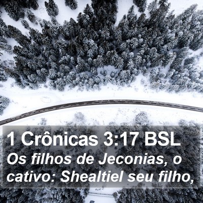 1 Crônicas 3:17 BSL Bible Verse Image