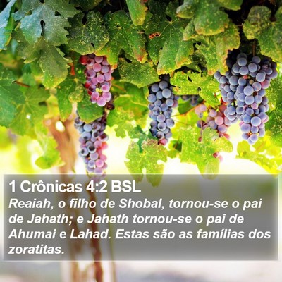 1 Crônicas 4:2 BSL Bible Verse Image