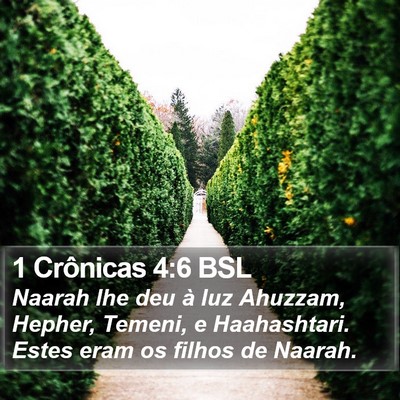 1 Crônicas 4:6 BSL Bible Verse Image