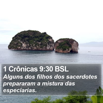 1 Crônicas 9:30 BSL Bible Verse Image