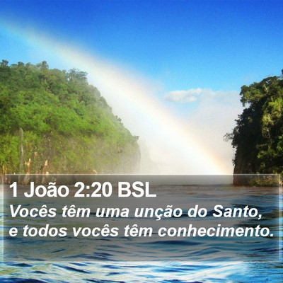 1 João 2:20 BSL Bible Verse Image
