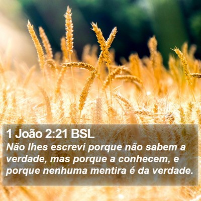 1 João 2:21 BSL Bible Verse Image
