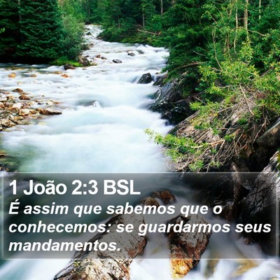 1 João 2:3 BSL Bible Verse Image