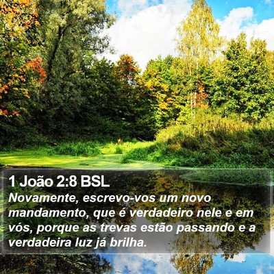 1 João 2:8 BSL Bible Verse Image