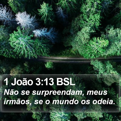 1 João 3:13 BSL Bible Verse Image