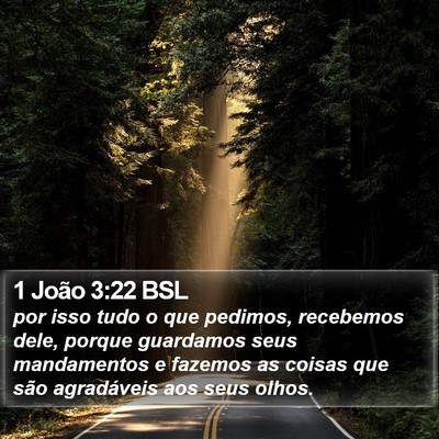 1 João 3:22 BSL Bible Verse Image