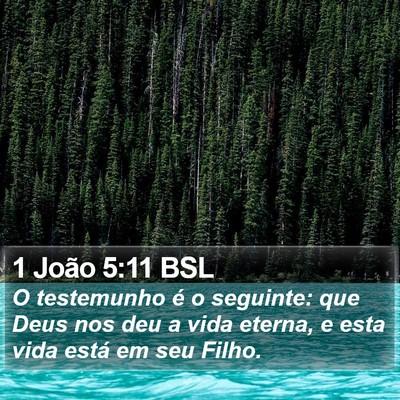 1 João 5:11 BSL Bible Verse Image