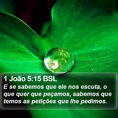 1 João 5:15 BSL Bible Verse Image