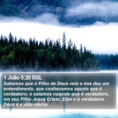 1 João 5:20 BSL Bible Verse Image