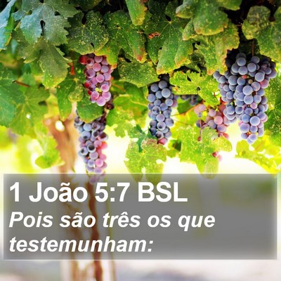 1 João 5:7 BSL Bible Verse Image