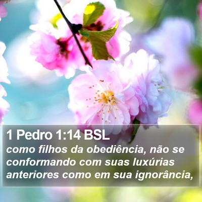 1 Pedro 1:14 BSL Bible Verse Image