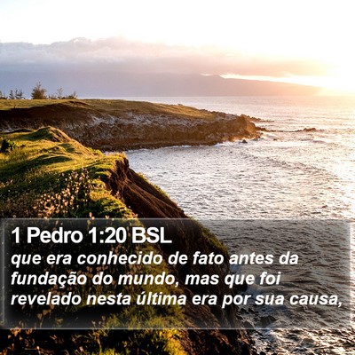 1 Pedro 1:20 BSL Bible Verse Image