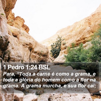 1 Pedro 1:24 BSL Bible Verse Image