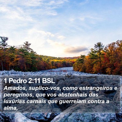 1 Pedro 2:11 BSL Bible Verse Image