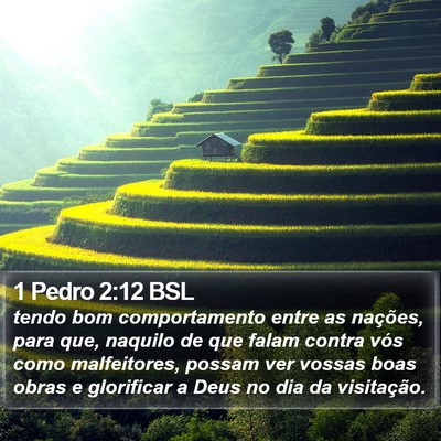 1 Pedro 2:12 BSL Bible Verse Image