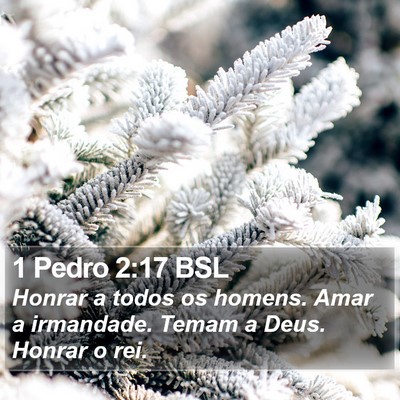 1 Pedro 2:17 BSL Bible Verse Image