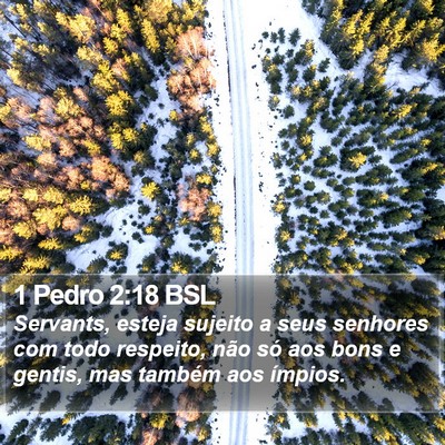 1 Pedro 2:18 BSL Bible Verse Image