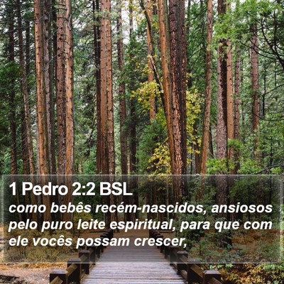 1 Pedro 2:2 BSL Bible Verse Image