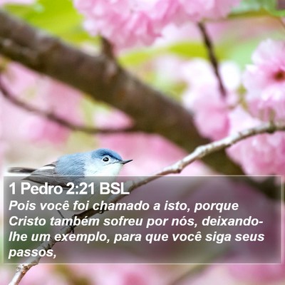 1 Pedro 2:21 BSL Bible Verse Image
