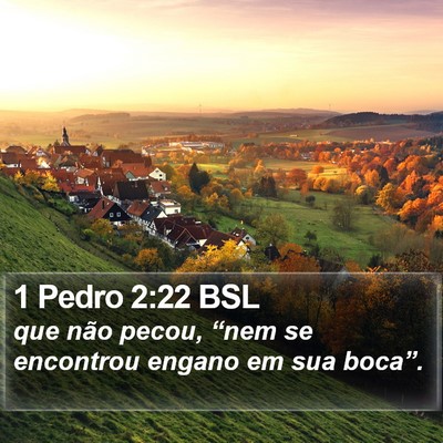 1 Pedro 2:22 BSL Bible Verse Image