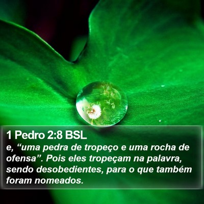 1 Pedro 2:8 BSL Bible Verse Image