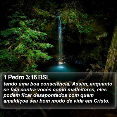 1 Pedro 3:16 BSL Bible Verse Image