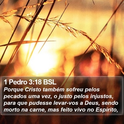 1 Pedro 3:18 BSL Bible Verse Image