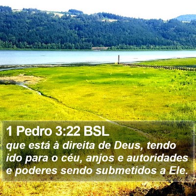 1 Pedro 3:22 BSL Bible Verse Image