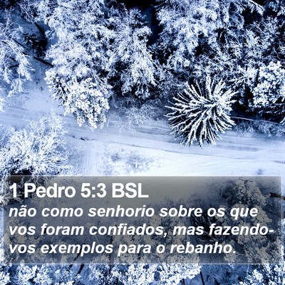 1 Pedro 5:3 BSL Bible Verse Image