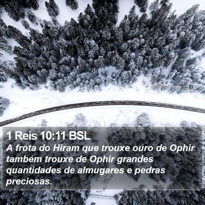 1 Reis 10:11 BSL Bible Verse Image