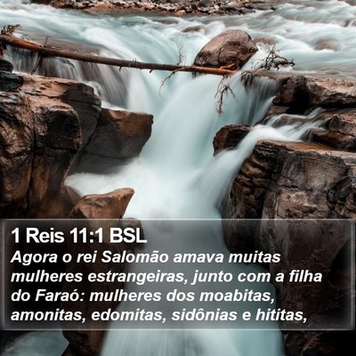 1 Reis 11:1 BSL Bible Verse Image