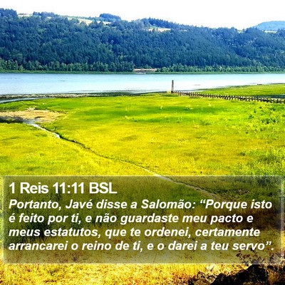 1 Reis 11:11 BSL Bible Verse Image
