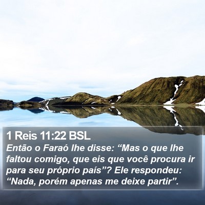 1 Reis 11:22 BSL Bible Verse Image