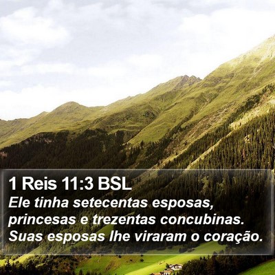 1 Reis 11:3 BSL Bible Verse Image