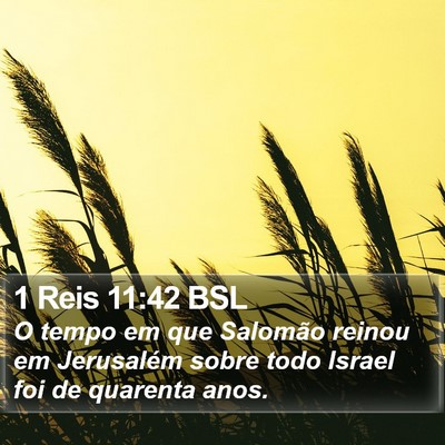 1 Reis 11:42 BSL Bible Verse Image