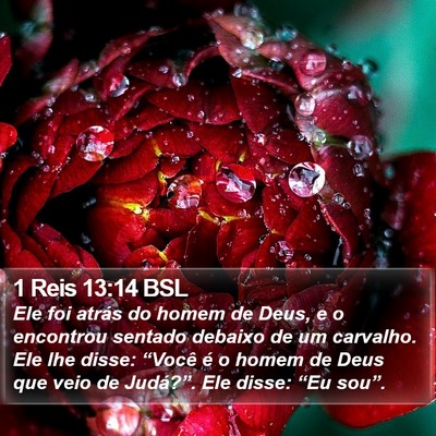 1 Reis 13:14 BSL Bible Verse Image