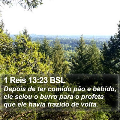 1 Reis 13:23 BSL Bible Verse Image