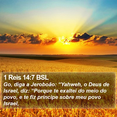 1 Reis 14:7 BSL Bible Verse Image