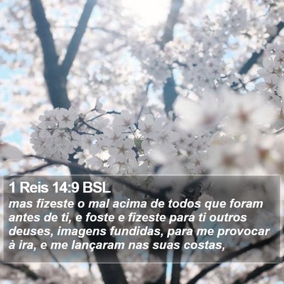 1 Reis 14:9 BSL Bible Verse Image