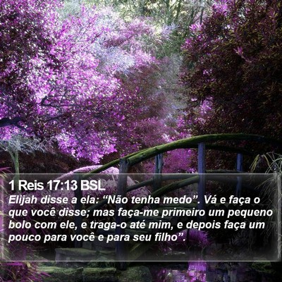 1 Reis 17:13 BSL Bible Verse Image