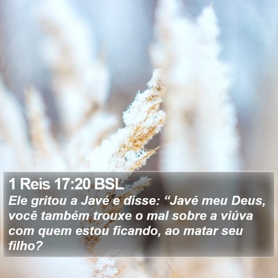 1 Reis 17:20 BSL Bible Verse Image